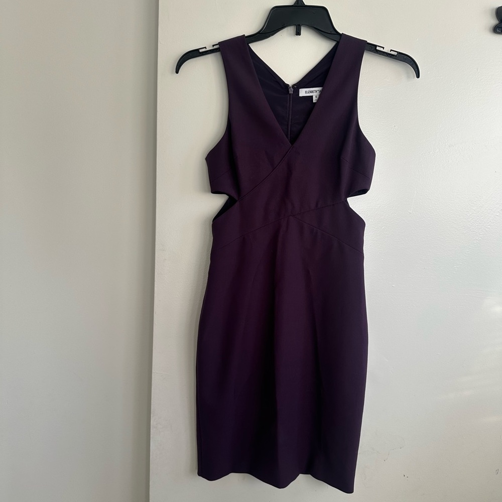 Elizabeth and James Deep Purple Mini Dress